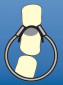 D-ring with flat tines 1.166  1 pc.