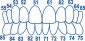 Pediatric anterior strips 1.913 (20 pcs.)